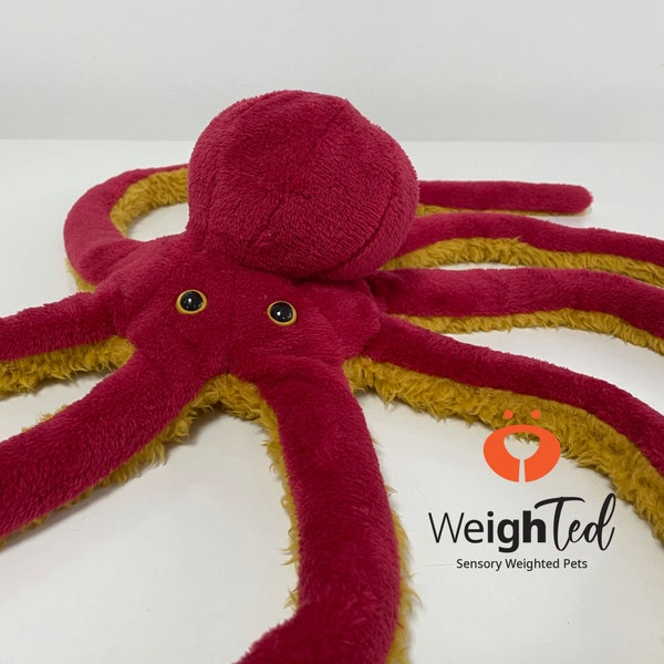 2.2kg Weighted Octopus 'Rhubarb'