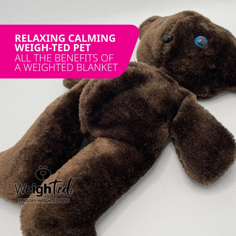 PDF SEWING PATTERN 1kg Weigh-ted Teddy Bear Chocolate - Etsy