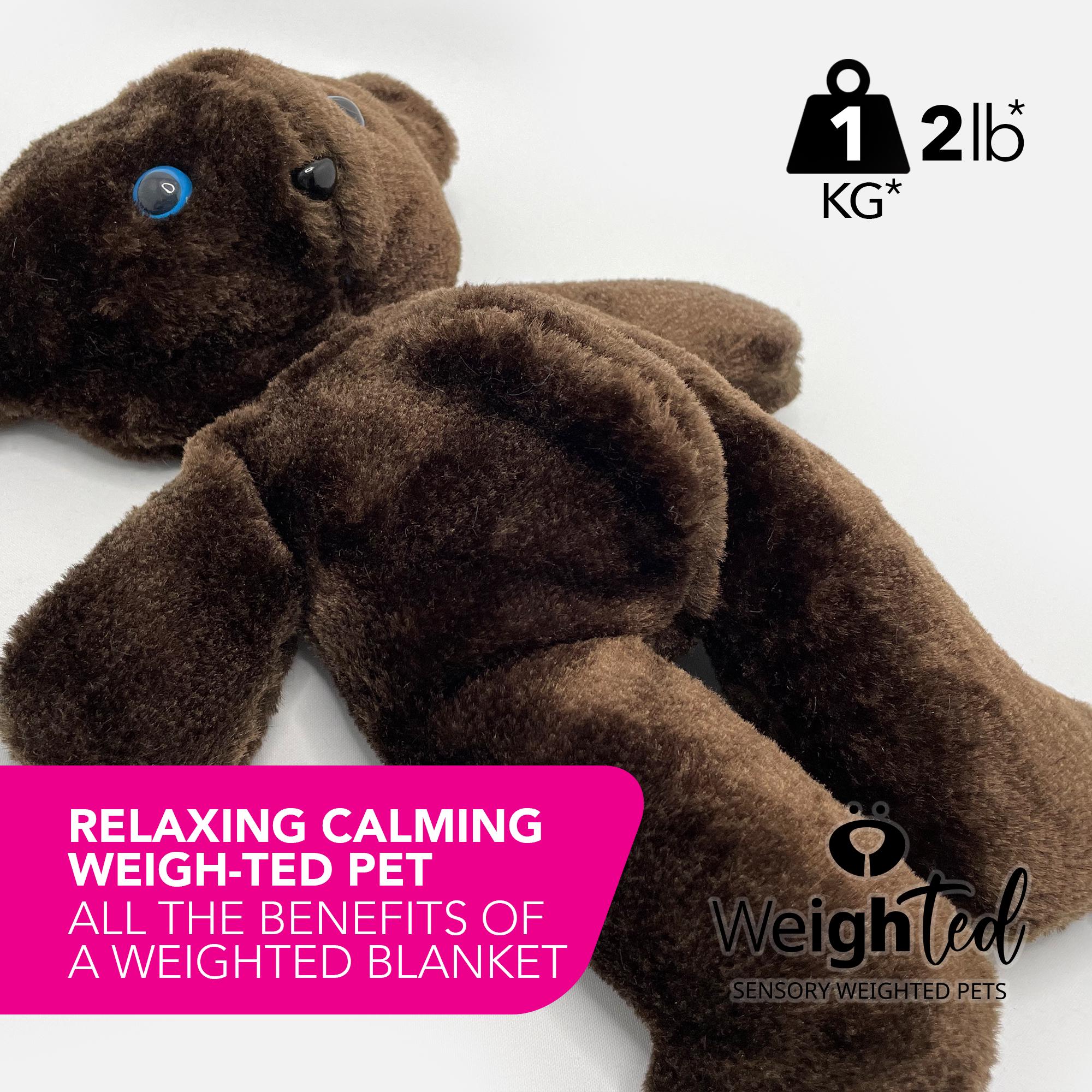 PDF SEWING PATTERN - 1kg Weigh-ted Teddy Bear - Chocolate - Sew Your ...