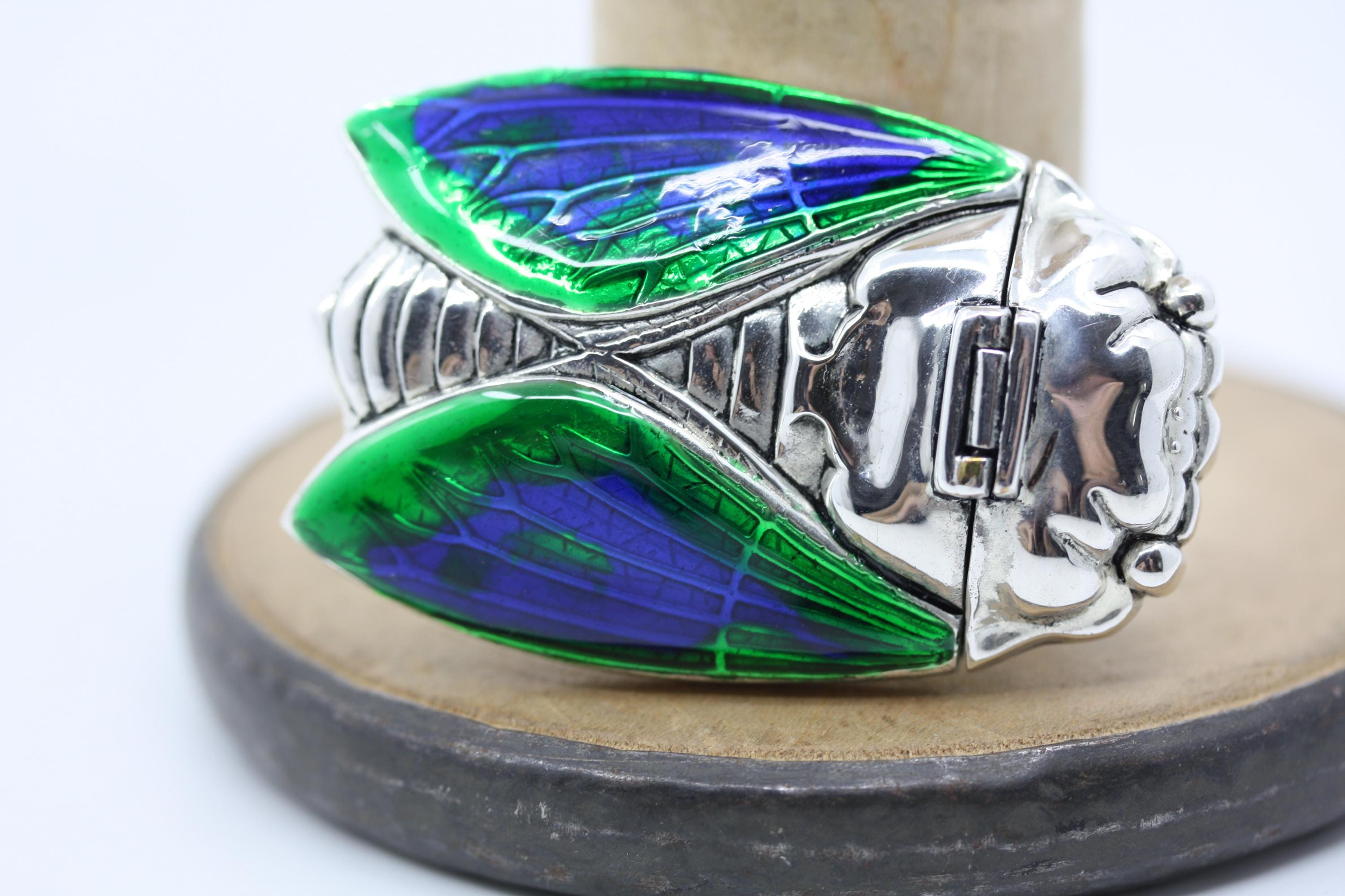 SCARAB CICADA INSECT Silver Plated Enamel Match Safe Vesta Case - Etsy