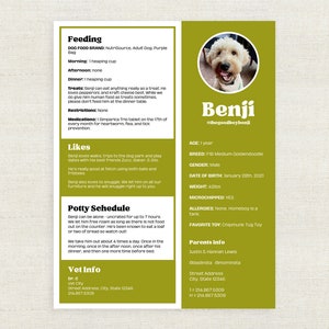Pet Sitter Instructions Template | Pet Sitter Notes | Instant Download | Editable Template