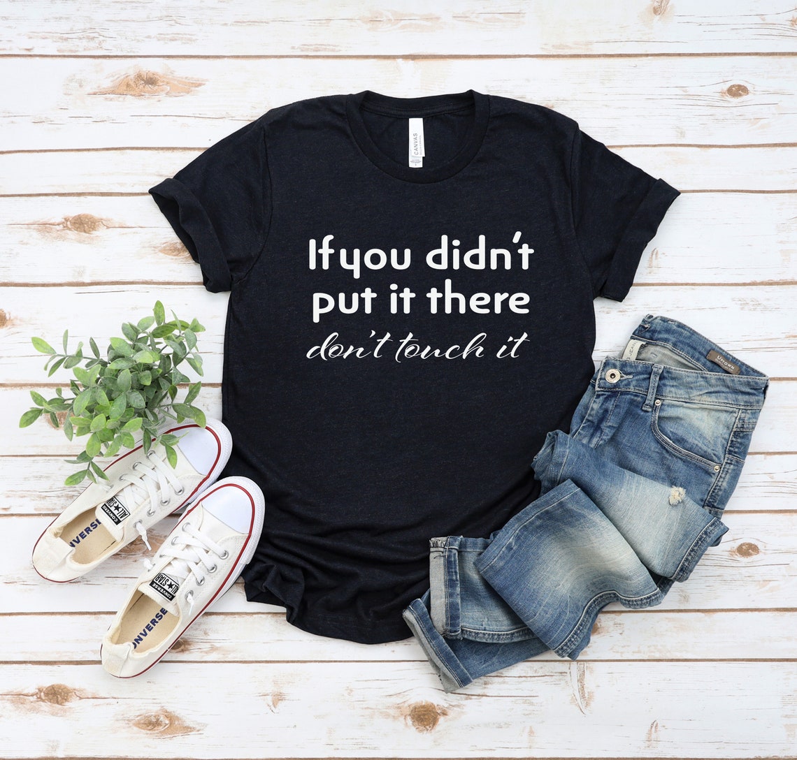 Pregnancy Announcement Shirt If You Didn't Put It There | Etsy