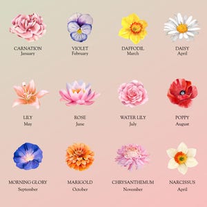 May include: A watercolor illustration of twelve flowers, each representing a month of the year. The flowers include a carnation, violet, daffodil, daisy, lily, rose, water lily, poppy, morning glory, marigold, chrysanthemum, and narcissus. Each flower is labeled with its name and the corresponding month.