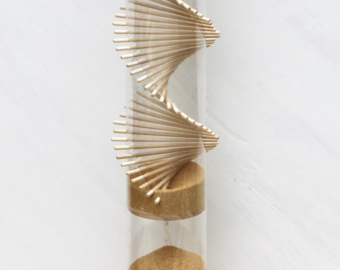 Extra Large Amaranth Rainstick Etsy