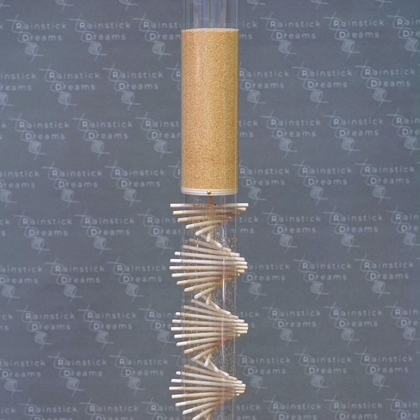 Amaranth Rainstick Etsy