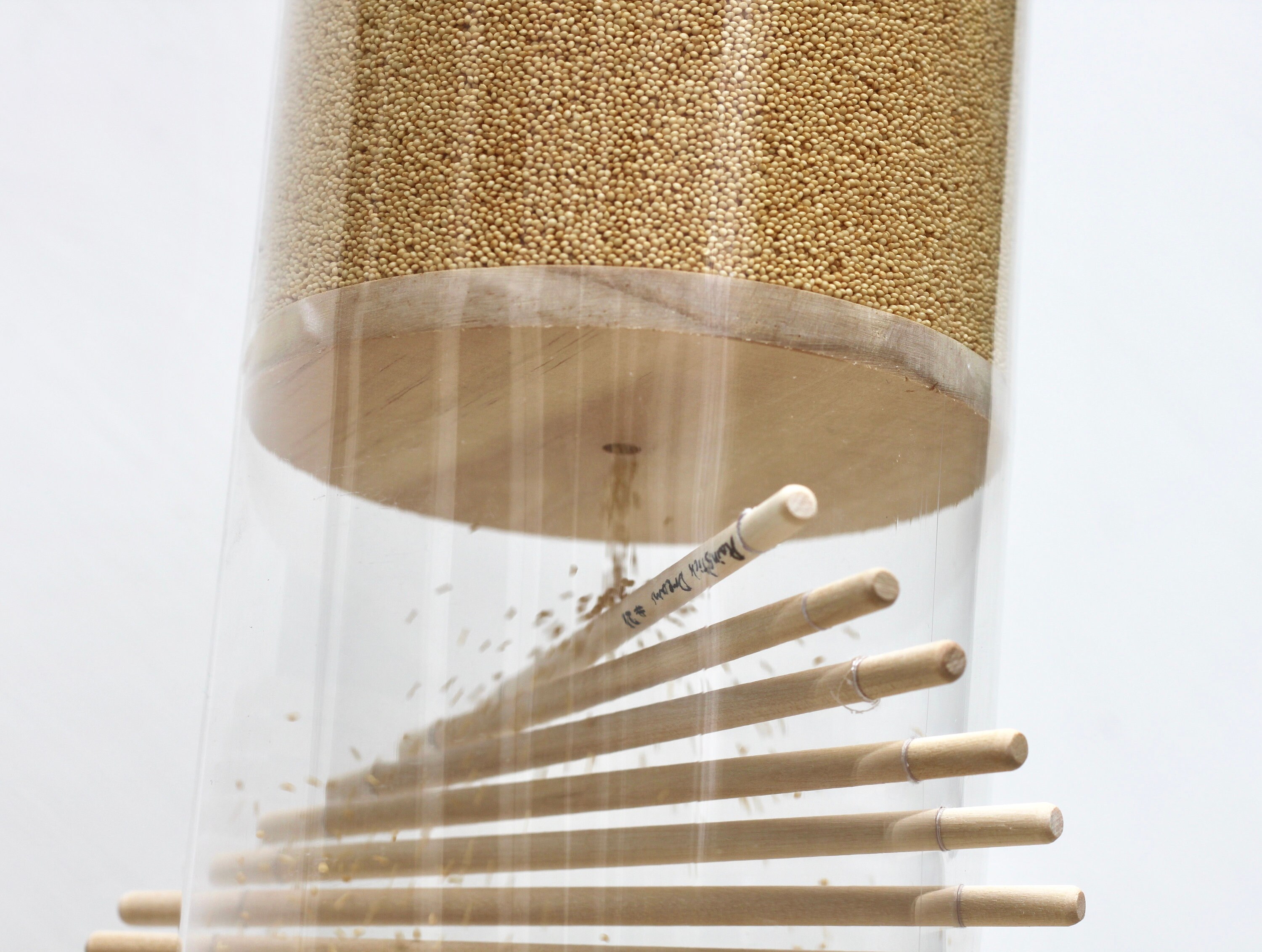 Extra Large Amaranth Rainstick Etsy