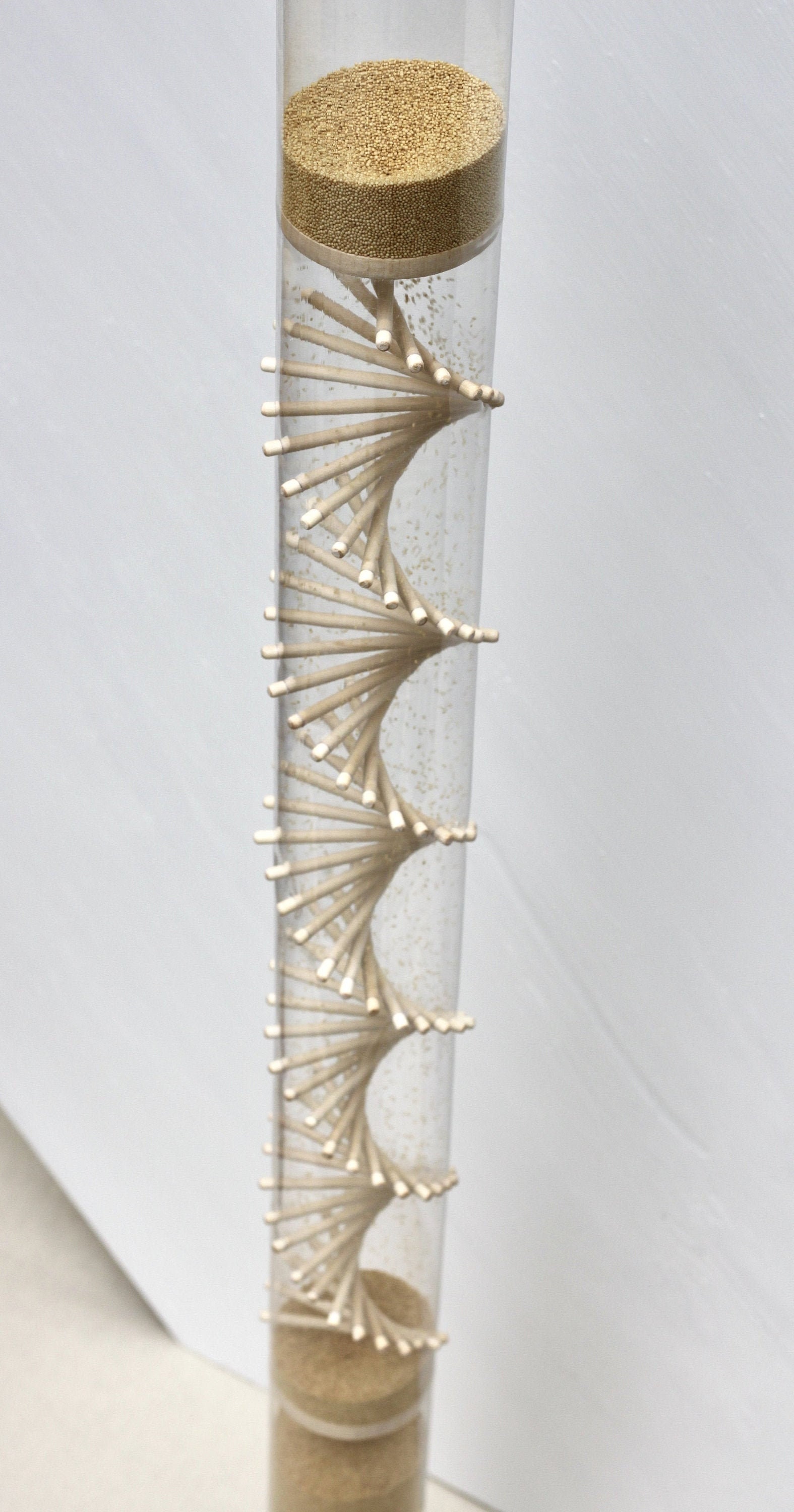 Large Amaranth Rainstick Etsy Australia