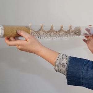 Small Amaranth Rainstick – Gentle Sound – Monochrome Rain Stick, 2 Minute Time Out, Calming Sound Sculpture for Work Desk or Home Tabletop