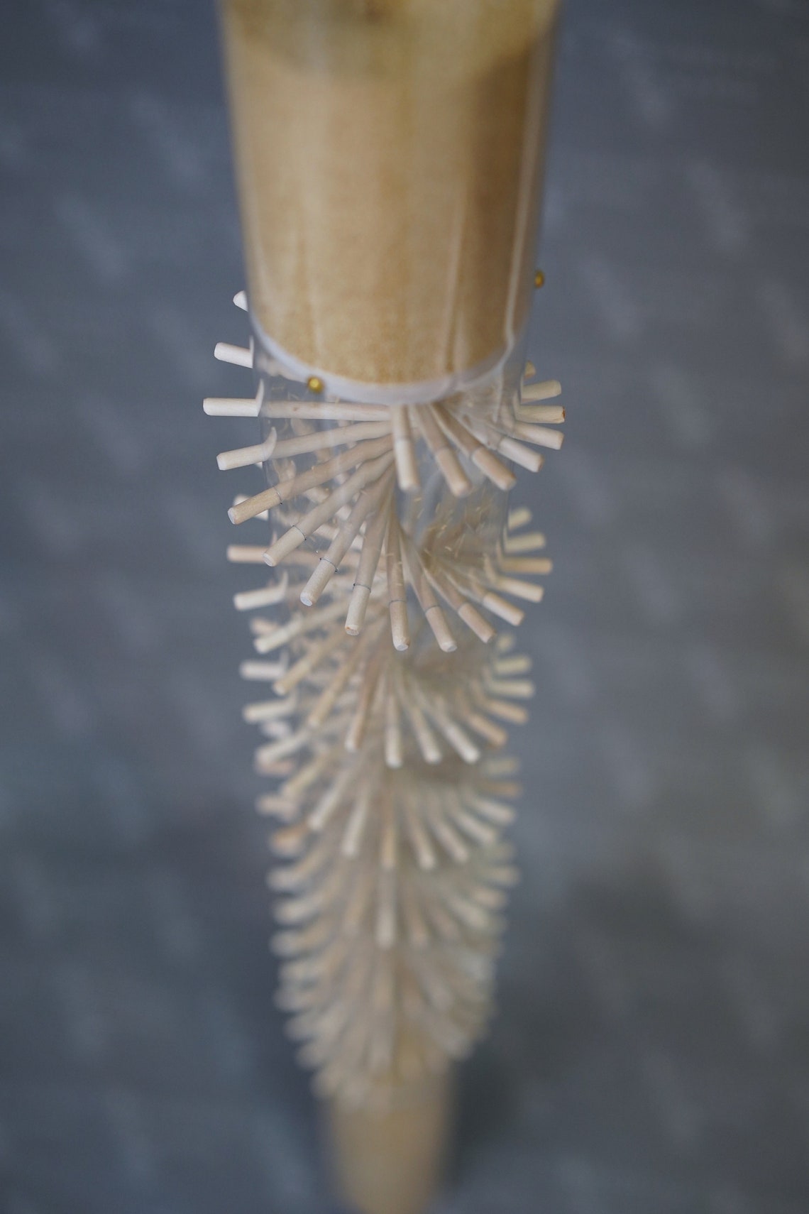 Large Amaranth Rainstick 10 Minute Long Duration Clear Spiral Etsy