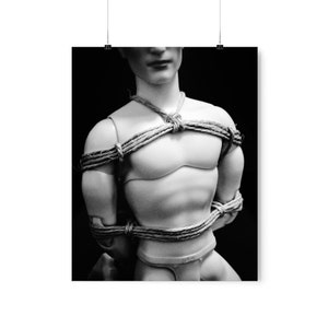 Chest Harness Premium Matte Poster