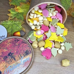 May include: A brown paper cup spills out colourful, leaf-shaped wax melts in pink, yellow, green, and white. The cup sits on a wooden surface with scattered autumn leaves and a round container with the text "Autumn Leaves".