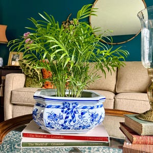 Puede incluir: Una planta verde en una maceta de cerámica blanca y azul con estampado floral. La maceta está sobre una pila de libros en una mesa de cristal. Los libros se titulan "The World of Leonardo" y "The World of Cézanne".