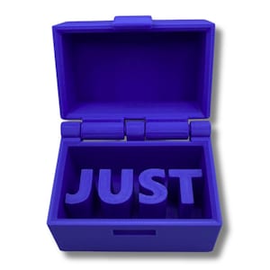 Cadeau juste au cas où les bâillons • Pour toutes les occasions des Fêtes • Farce amusante • Cadeau pour montrer votre appréciation • Boîte à collier • Rangement pour chaîne