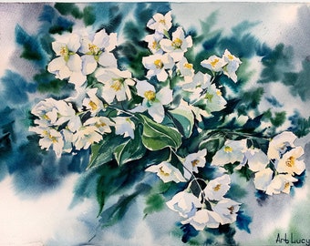 Jasmine Blossom Original Watercolor Painting, Hand Painted White Flowers Art, Jasmine Wall Decor, Universal Gift