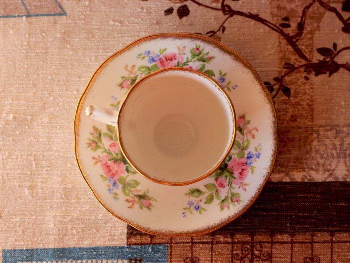 Roslyn Fine Bone China Moss Rose Tea Set / Vintage Tea Set / Roslyn Tea