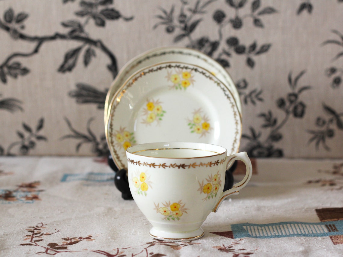 Salisbury Bone China 6 Piece Tea Set / Antique Tea Set / Salisbury Tea