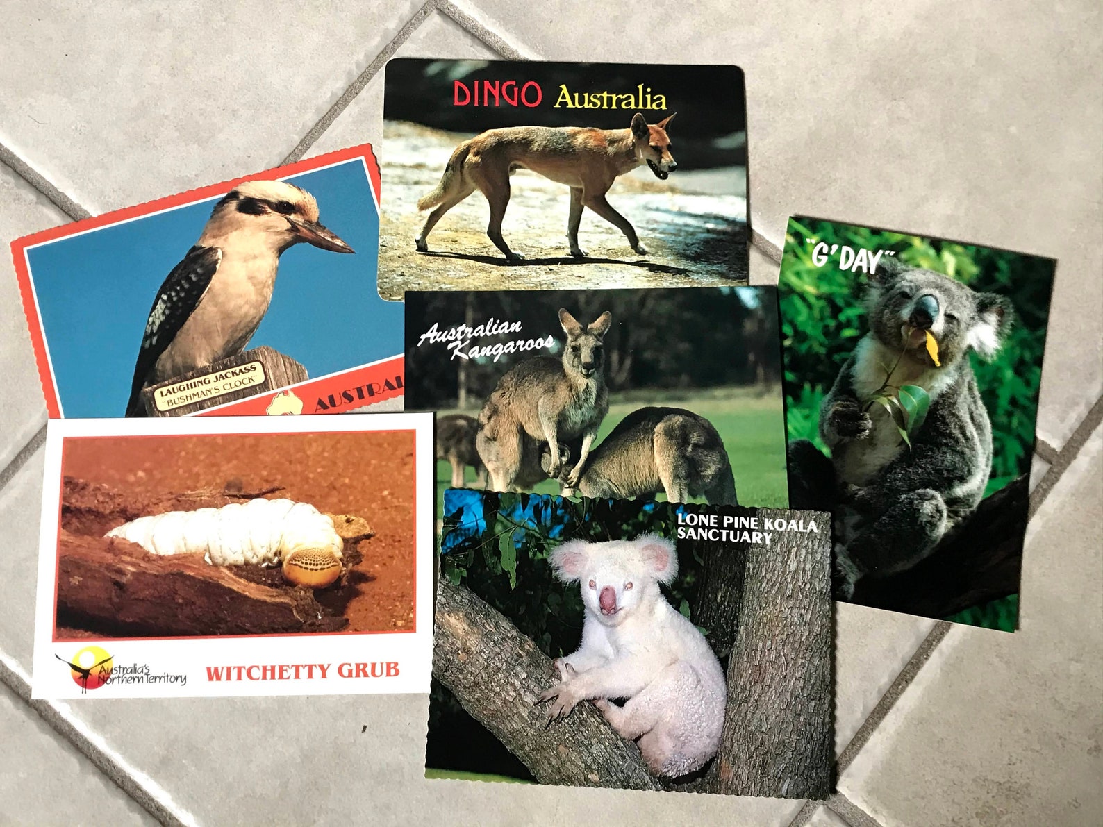 Vintage Australia Postcards set of 6 Etsy
