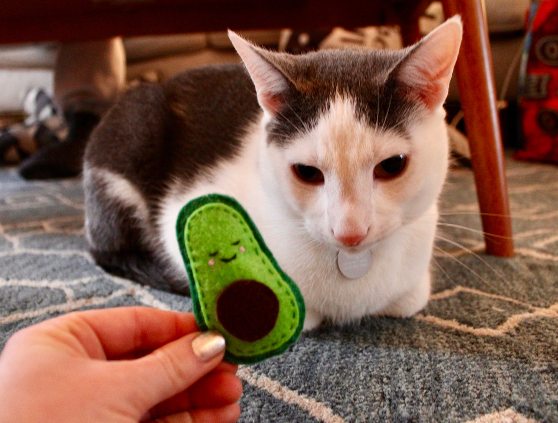Happy Avocado Catnip Kitty Cat Toy Cute Smiling Felt Avo Etsy