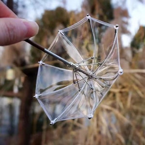 May include: A small, clear plastic umbrella with a silver metal frame. The umbrella is open and the handle is visible.