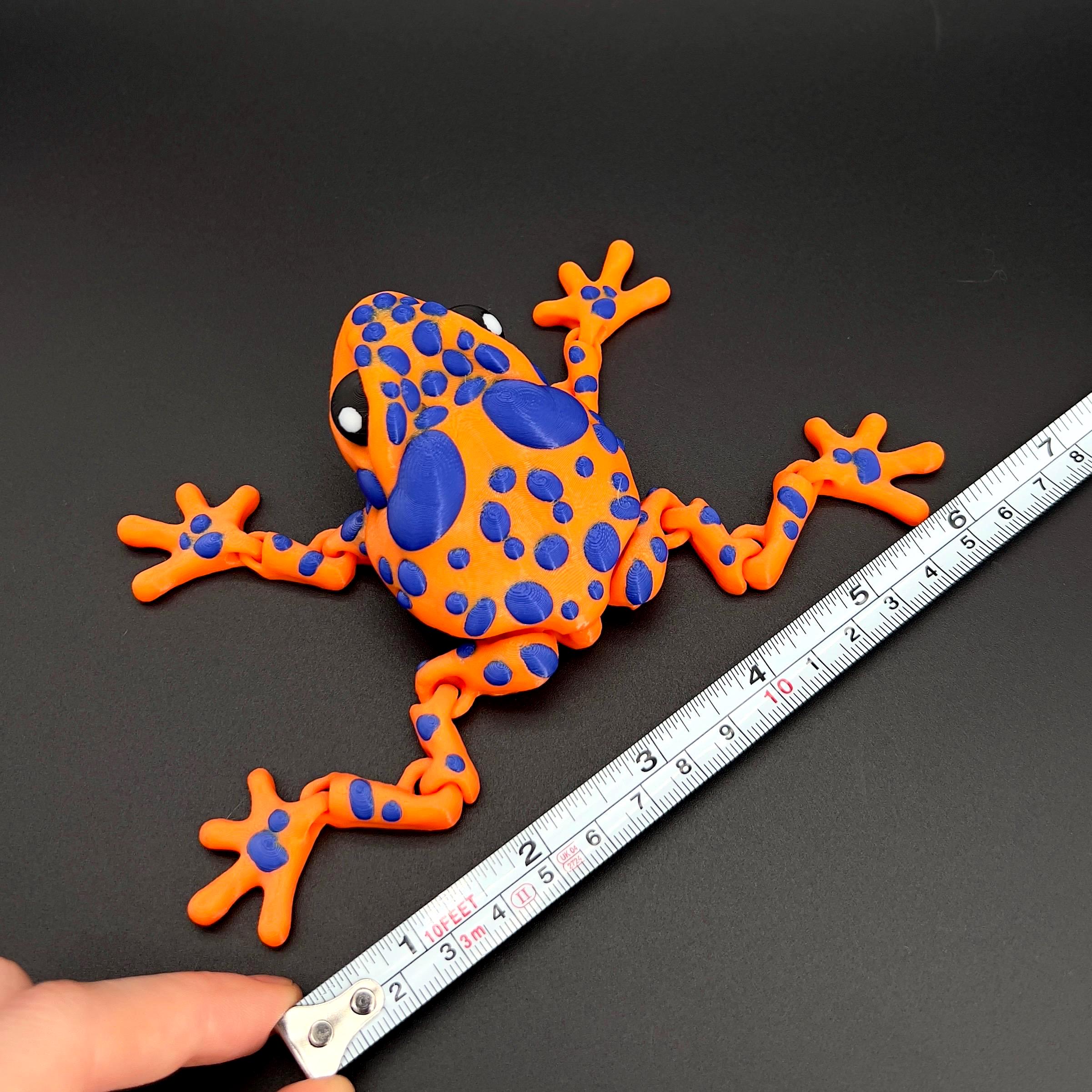 Articulated Frog Figurines – 3D Printed Poison Dart & Rose Frog