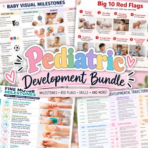 Op de afbeelding: Een pediatrische ontwikkelingsbundel met vier educatieve kaarten voorzien van tekst en foto's. De kaarten bevatten visuele mijlpalen voor baby's, de 10 belangrijkste alarmsignalen, fijne motoriek en ontwikkelingspaden voor zuigelingen.