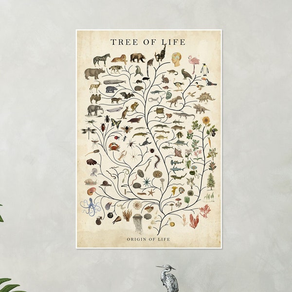 Tree of Life Poster, Natural History Poster, Origin Of Life Knowledge Art, Tree of Life Wall Art Decor, Evolution Print, Animal Lover Gift