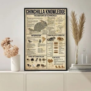 Chinchilla Knowledge, Knowledge Poster, Chinchilla Art, Chinchilla Wall Art, Chinchilla Art Print, Chinchilla gifts, Chinchilla Lover Gift