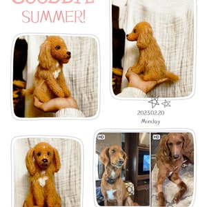 Custom Crochet Dog Doll - Handmade Amigurumi Pet Replica - Personalized Gift for Dog Lovers - Cute and Unique Dog Plush Toy