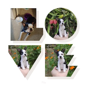 Pelúcia de cachorro de crochê artesanal personalizada, boneca de animal de estimação personalizada, lembrança de cachorro amigurumi, presente exclusivo de Boston Terrier, pelúcias personalizáveis