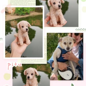 Handgefertigte Custom häkeln Hund - Personalisierte Amigurumi Haustier Plüsch - Realistische Tier Replik - Einzigartiges Geschenk für Hunde-Liebhaber - Haustier-Gedenk-Puppe