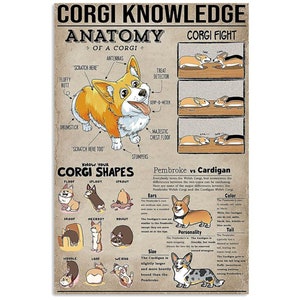 Corgi Knowledge Poster, Knowledge Poster, Dogs Art, Corgi Poster, Corgi Art Print, Corgi Wall Art, Dog Lover Gifts, Corgi Prints, Dog Poster