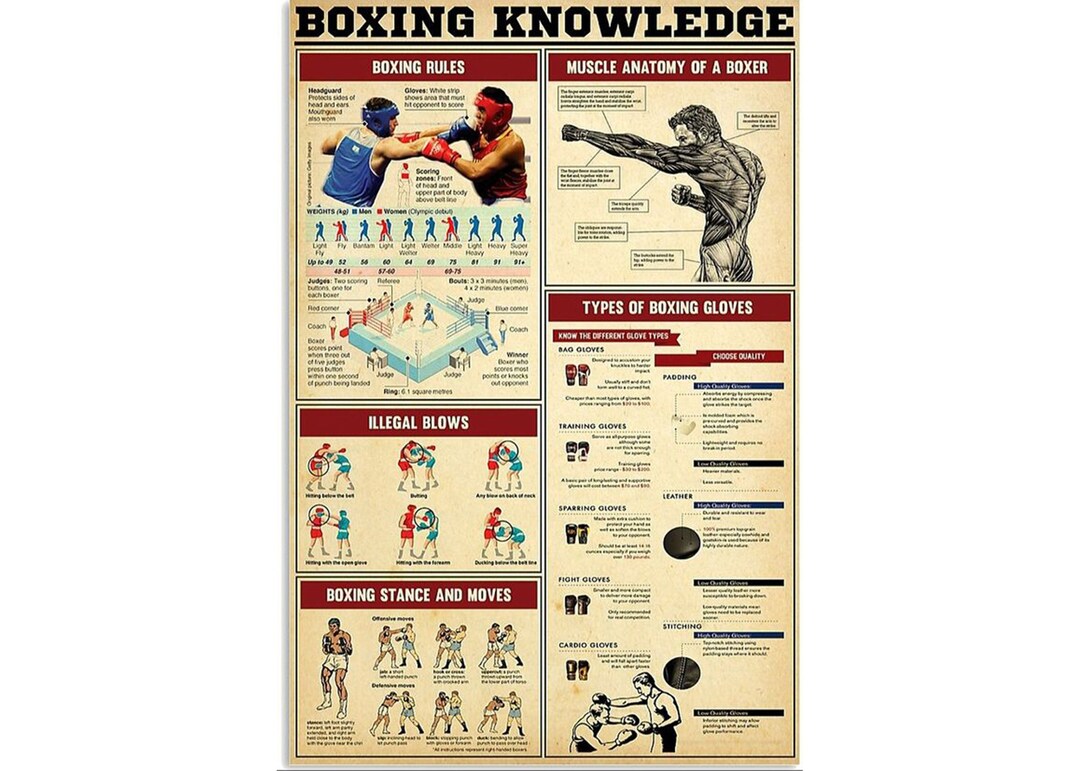 Boxing Knowledge, Boxing Workout Poster, Boxing Fighter Anatomy Poster
