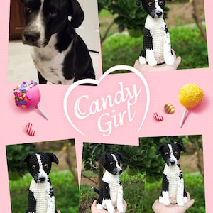 Pelúcia de cachorro de crochê artesanal personalizada, boneca de animal de estimação personalizada, lembrança de cachorro amigurumi, presente exclusivo de cachorro preto e branco, pelúcias personalizáveis