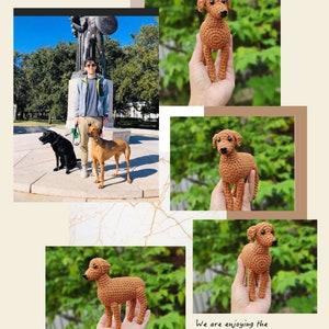 Pelúcia Vizsla de crochê artesanal personalizada, boneca de animal de estimação personalizada, lembrança de cachorro amigurumi, presente exclusivo para cachorro, pelúcias personalizáveis