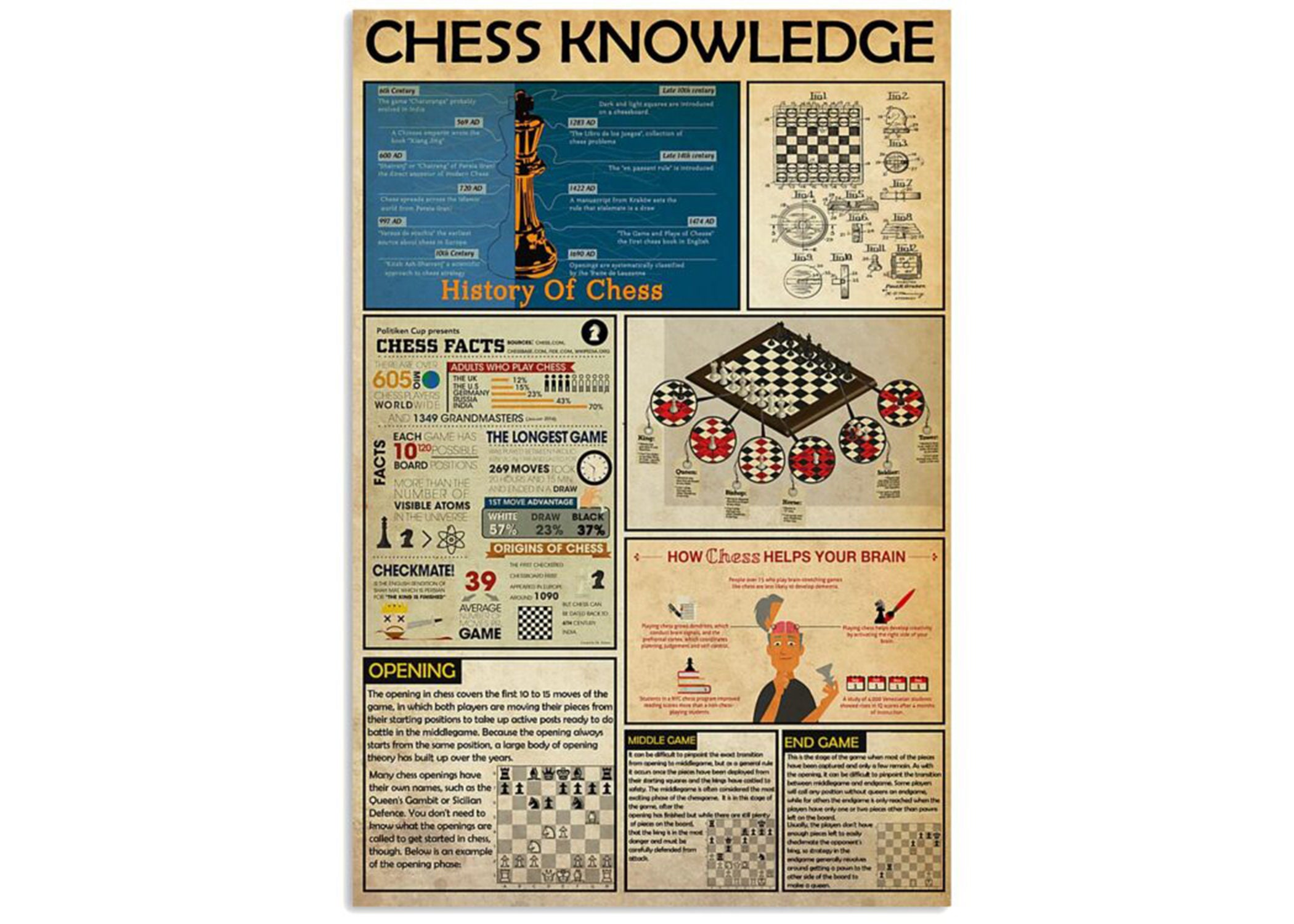 Chess Board Set up Rules & Piece Movement Strategy Cheat Sheet Laminated  Double Sided - Great for Beginners and Improving Your Chess Game!
