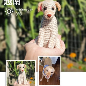 Pelúcia de cachorro de crochê artesanal personalizada, boneca de animal de estimação personalizada, lembrança de cachorro amigurumi, presente exclusivo de labrador amarelo, pelúcias personalizáveis