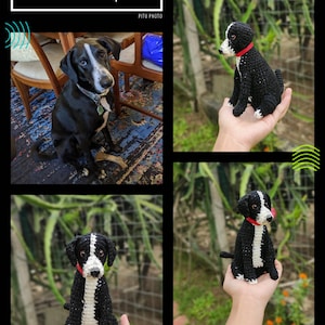 Pelúcia de cachorro de crochê artesanal personalizada, boneca de animal de estimação personalizada, lembrança de cachorro amigurumi, presente exclusivo de cachorro preto e branco, pelúcias personalizáveis
