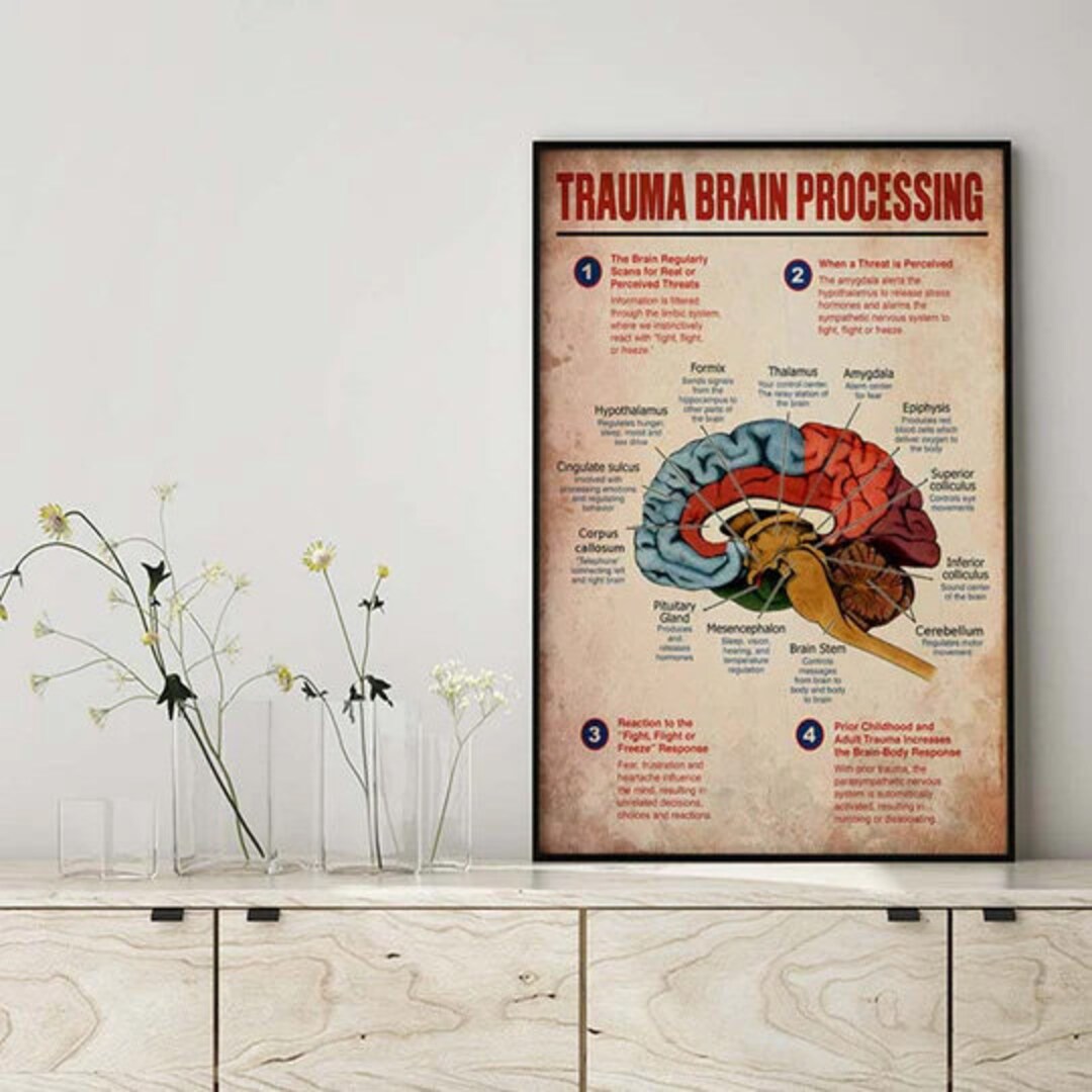 Trauma Brain Processing Knowledge Poster, Trauma Brain Processing Wall ...