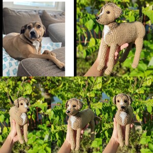 Pelúcia de cachorro de crochê artesanal personalizada, boneca de animal de estimação personalizada, lembrança de cachorro amigurumi, presente exclusivo de cachorro, pelúcias personalizáveis