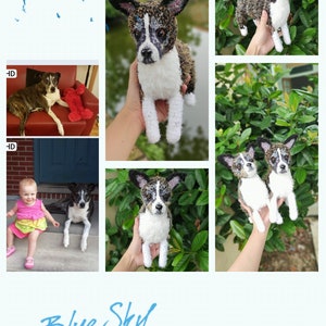 Handgefertigt gehäkelte Hund Plüschi - Custom Amigurumi Haustier Puppe - Personalisierte Haustier Replika - Einzigartiges Geschenk für Hundeliebhaber