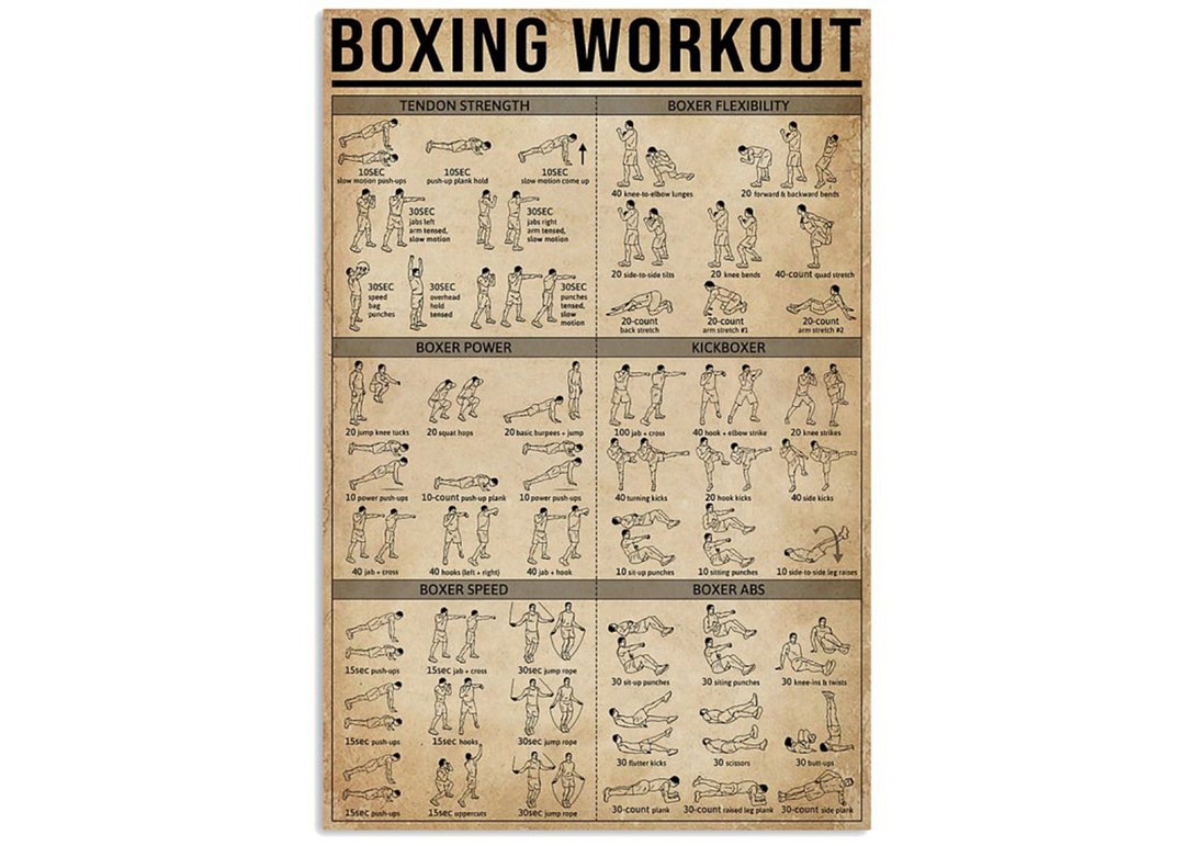 Boxing Workout Poster, Boxing Knowledge, Boxing Fighter Anatomy Poster