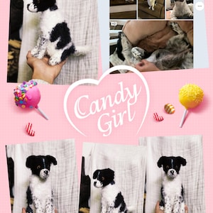 Custom Crochet Dog Doll - Handgefertigte Amigurumi Haustier Replika - Personalisiertes Geschenk für Hundeliebhaber - Einzigartiger Schwarzweißer Hundeplüsch