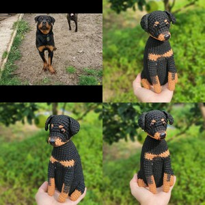 Pelúcia de cachorro de crochê artesanal personalizada, boneca de animal de estimação personalizada, lembrança de cachorro amigurumi, presente exclusivo de cachorro, pelúcias personalizáveis