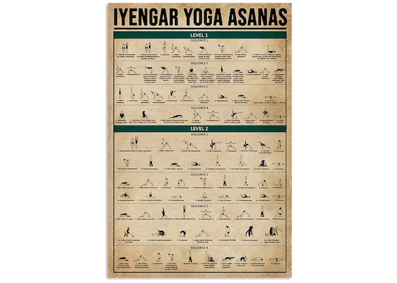 Iyengar yoga videos – sitting & forward bend asanas - Yoga Vastu