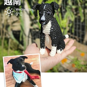 Pelúcia de cachorro de crochê artesanal personalizada, boneca de animal de estimação personalizada, lembrança de cachorro amigurumi, presente exclusivo de cachorro preto e branco, pelúcias personalizáveis