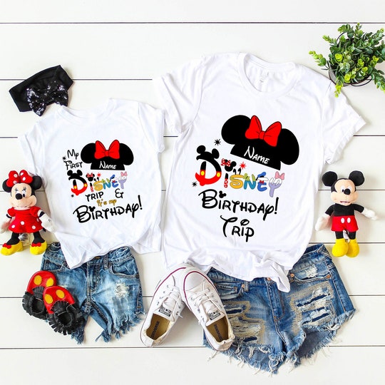 Disover Family Disney Birthday Trip T-Shirt, Disney Birthday Trip,