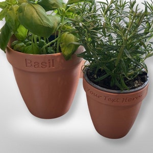 May include: Two terracotta pots with plants. The pot on the left has the word "Basil" written on it. The pot on the right has the text "Your Text Here" written on it.
