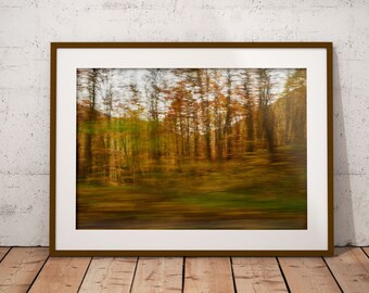 Original Photography Prints Nature | Autumn Wall Art | Digital Download | Forest Wall Decor | Printable Art | Home Decor | Fine Art Print