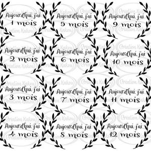 Heute bin ich (1 bis 12) Monate alt - SVG-Datei - PNG - JPG auf Französisch / auf Französisch - Lot / Bundle