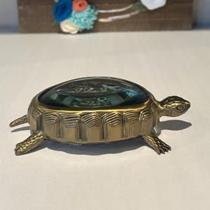 L'Objet Turtle Magnifying Glass